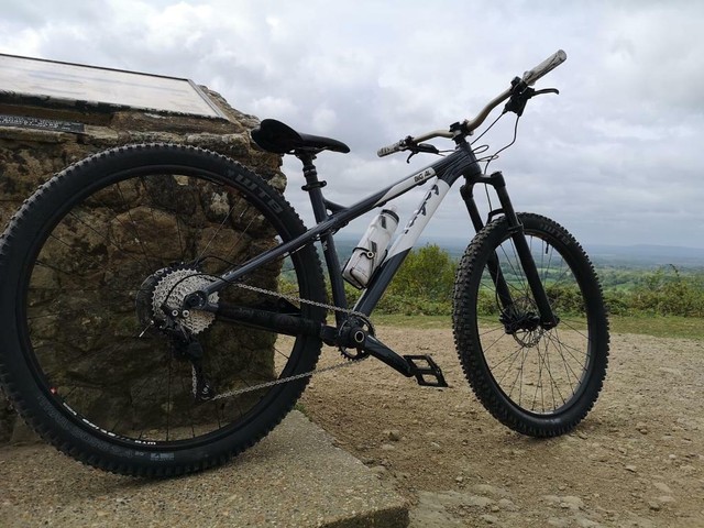 ragley big al hardtail frame 2019